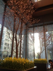 残すところあと１年