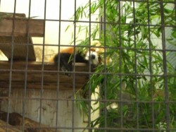 動物園
