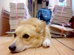 暇→掃除へ