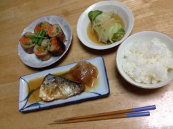 たまにはご飯だってつくります