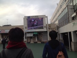The競馬