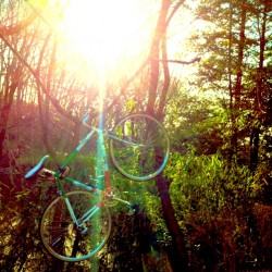 自転車で休日をすごしたの巻