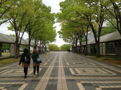 大学生らしく・・