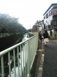 どうやら蚊に刺されやすいらしい