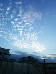こつこつ練習をめざして