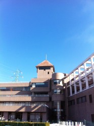 大学