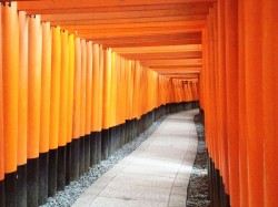 バイトの日
