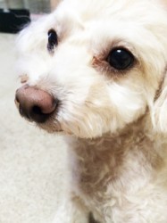お久しぶりです。