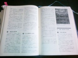 投票
