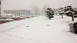 大雪