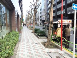 本日も缶詰