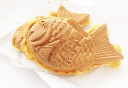 日記と、オープンキャンパスよろしくお願いします