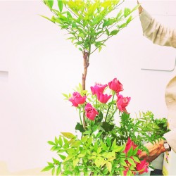 華道