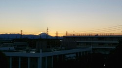 将来の夢