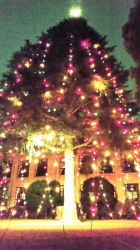 クリスマス礼拝