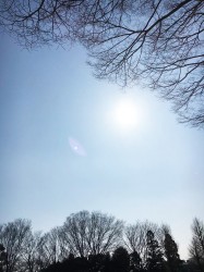 公園&久々のごはん