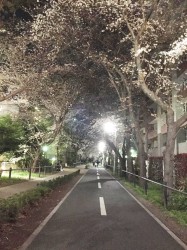 ラスト