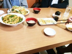 今日は。。。