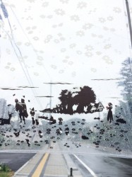 雨