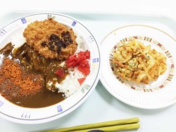今日はカツカレーだどん