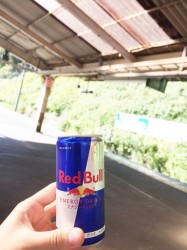 朝から晩まで忙しや