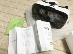 流行りに乗って購入