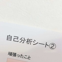 今週は就活ウィーク