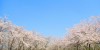 4月から大学に進学する女子高生が、現役大学生に質問してみた。私たち、実は◯◯が不安なんです！