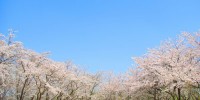 4月から大学に進学する女子高生が、現役大学生に質問してみた。私たち、実は◯◯が不安なんです！