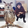 まるまる